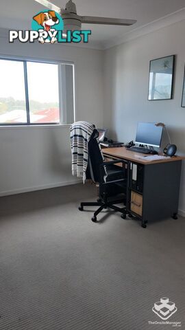 ID:21141686 36 Higgs Street Deception Bay QLD 4508