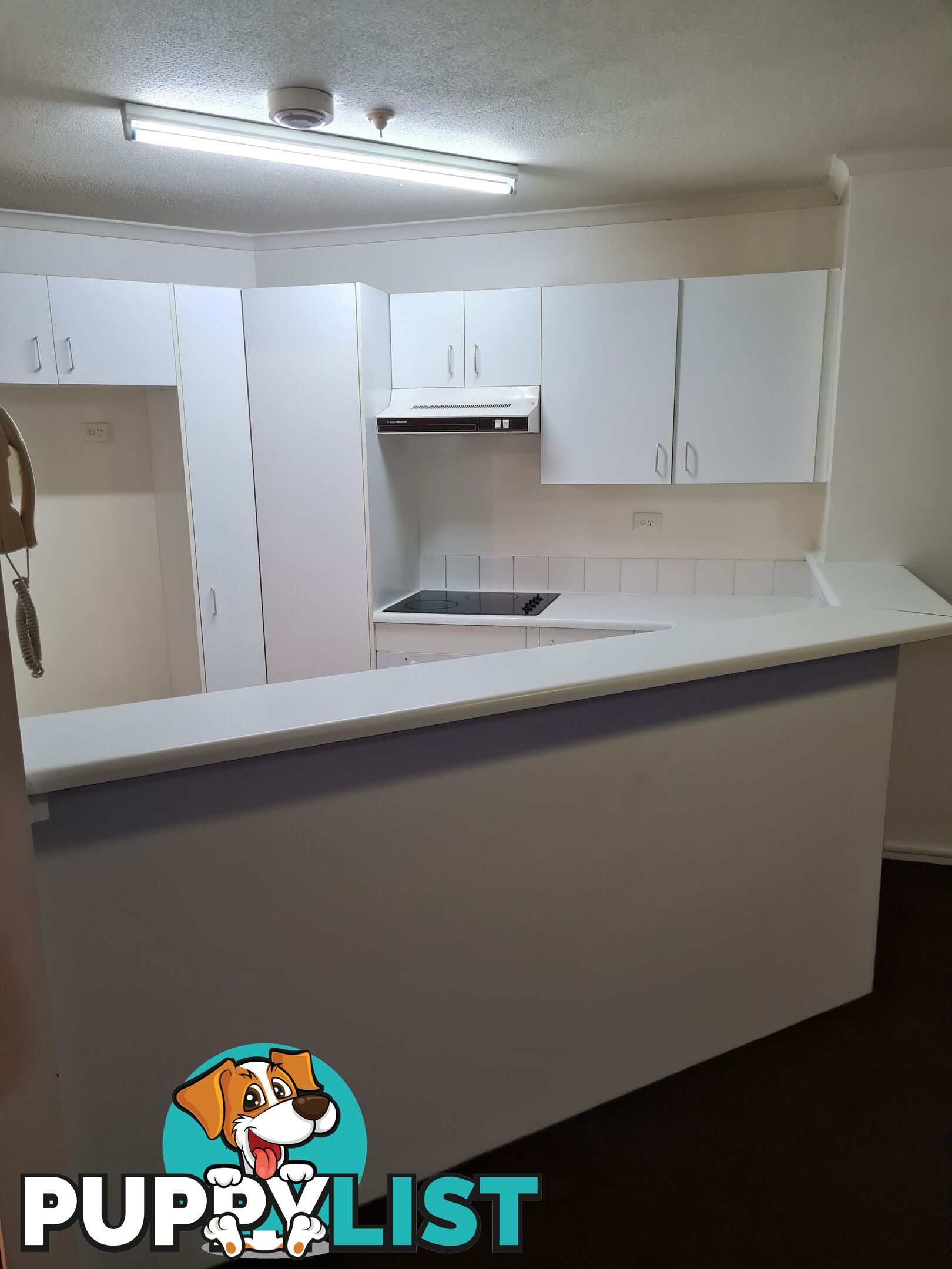 ID:21148695 55 Thorn Street Kangaroo Point QLD 4169