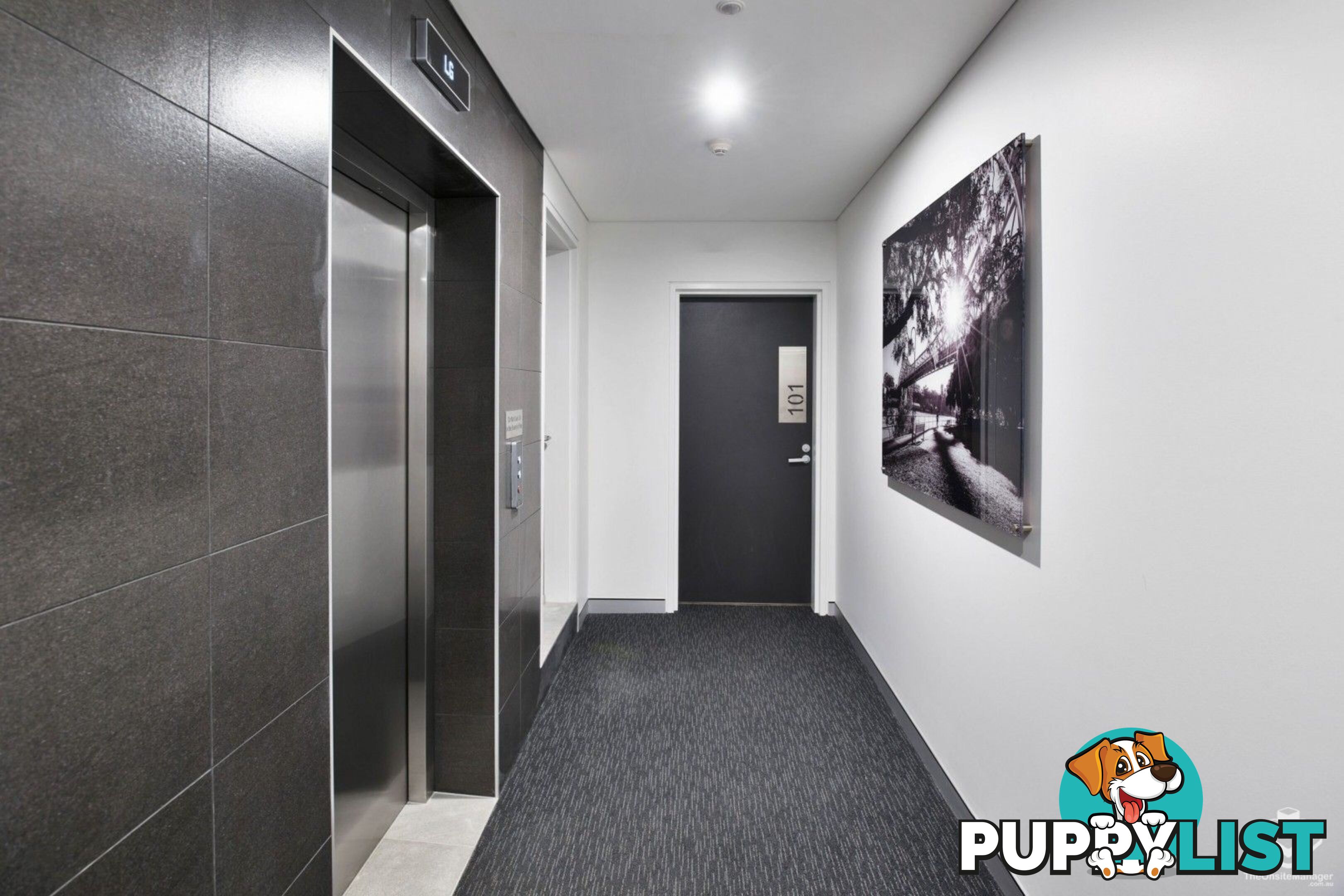 ID:21157088 28 Wharf Street Kangaroo Point QLD 4169