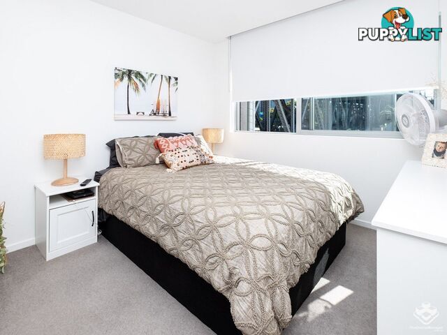 ID:21157088 28 Wharf Street Kangaroo Point QLD 4169