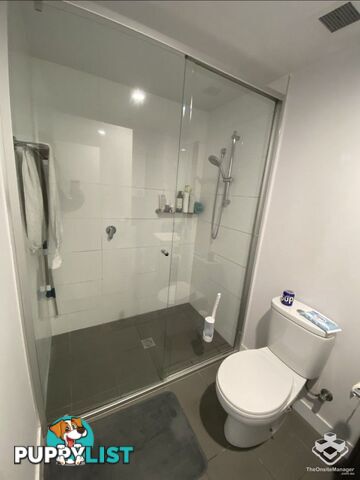39/25-29 Regent Street Woolloongabba QLD 4102