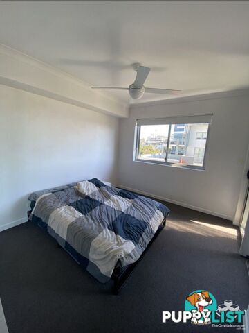 39/25-29 Regent Street Woolloongabba QLD 4102