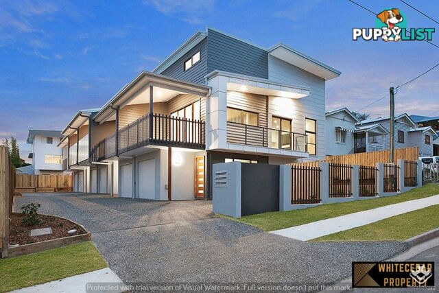 ID:21145520/29 Hunter Street Greenslopes QLD 4120