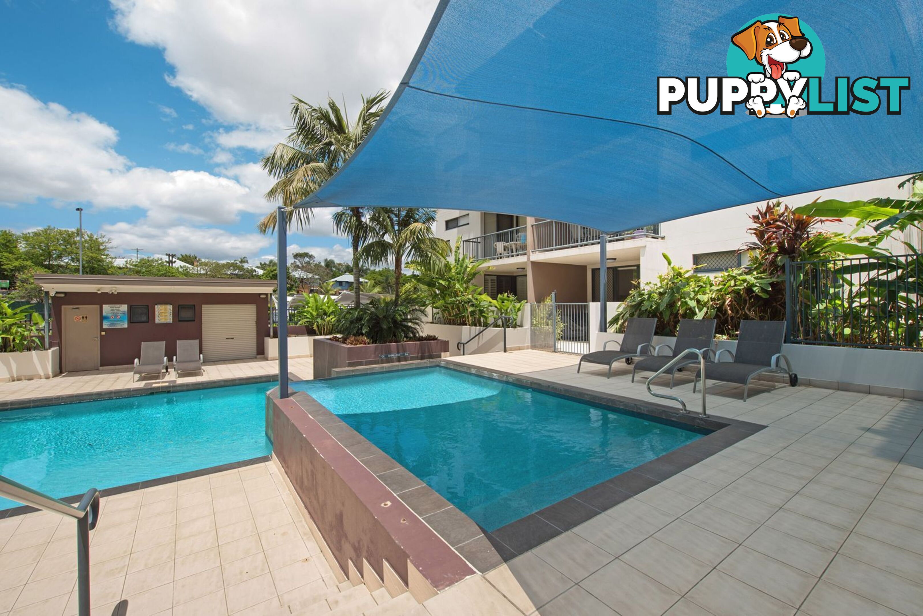 ID:21155156 38 Brougham Street Fairfield QLD 4103