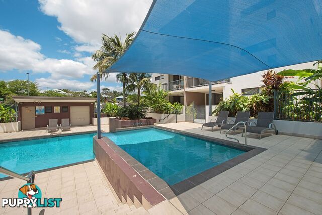 ID:21155156 38 Brougham Street Fairfield QLD 4103