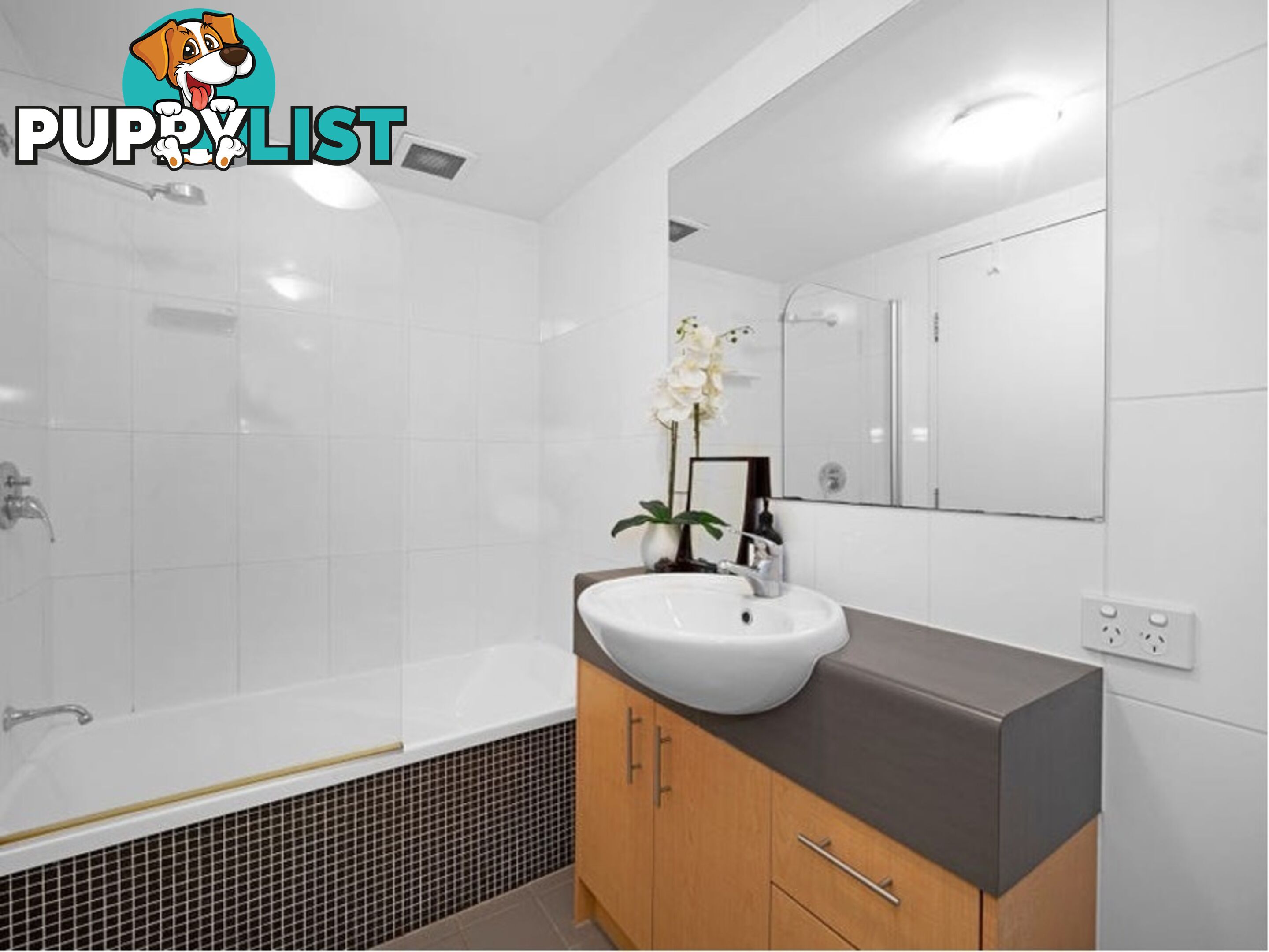 ID:21155156 38 Brougham Street Fairfield QLD 4103