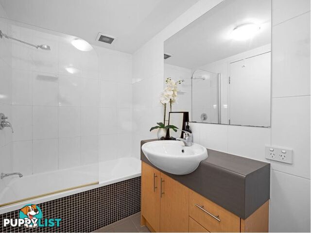 ID:21155156 38 Brougham Street Fairfield QLD 4103