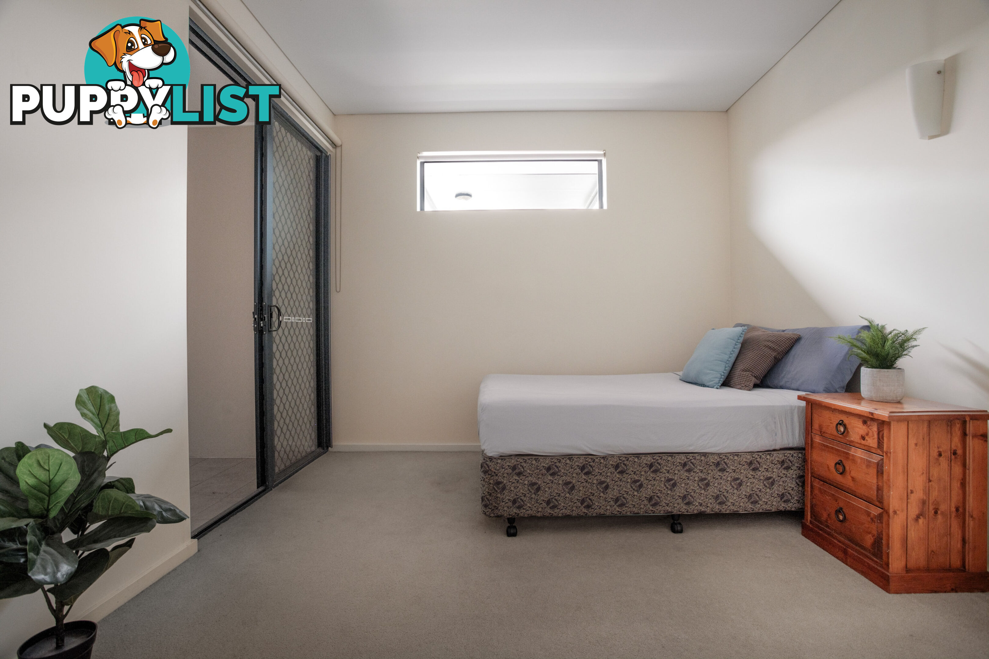 ID:21155156 38 Brougham Street Fairfield QLD 4103