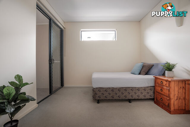 ID:21155156 38 Brougham Street Fairfield QLD 4103