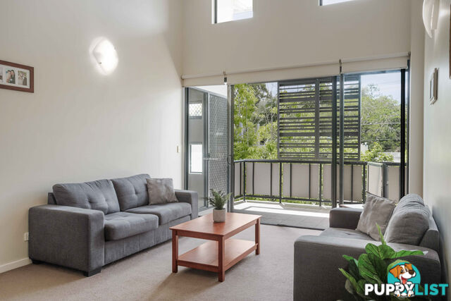 ID:21155156 38 Brougham Street Fairfield QLD 4103
