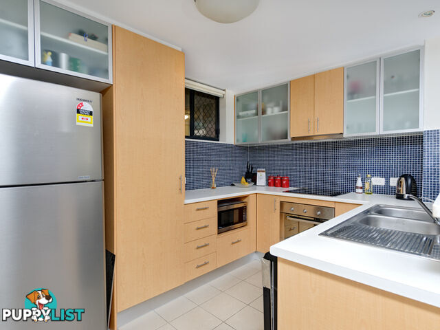 ID:21155156 38 Brougham Street Fairfield QLD 4103
