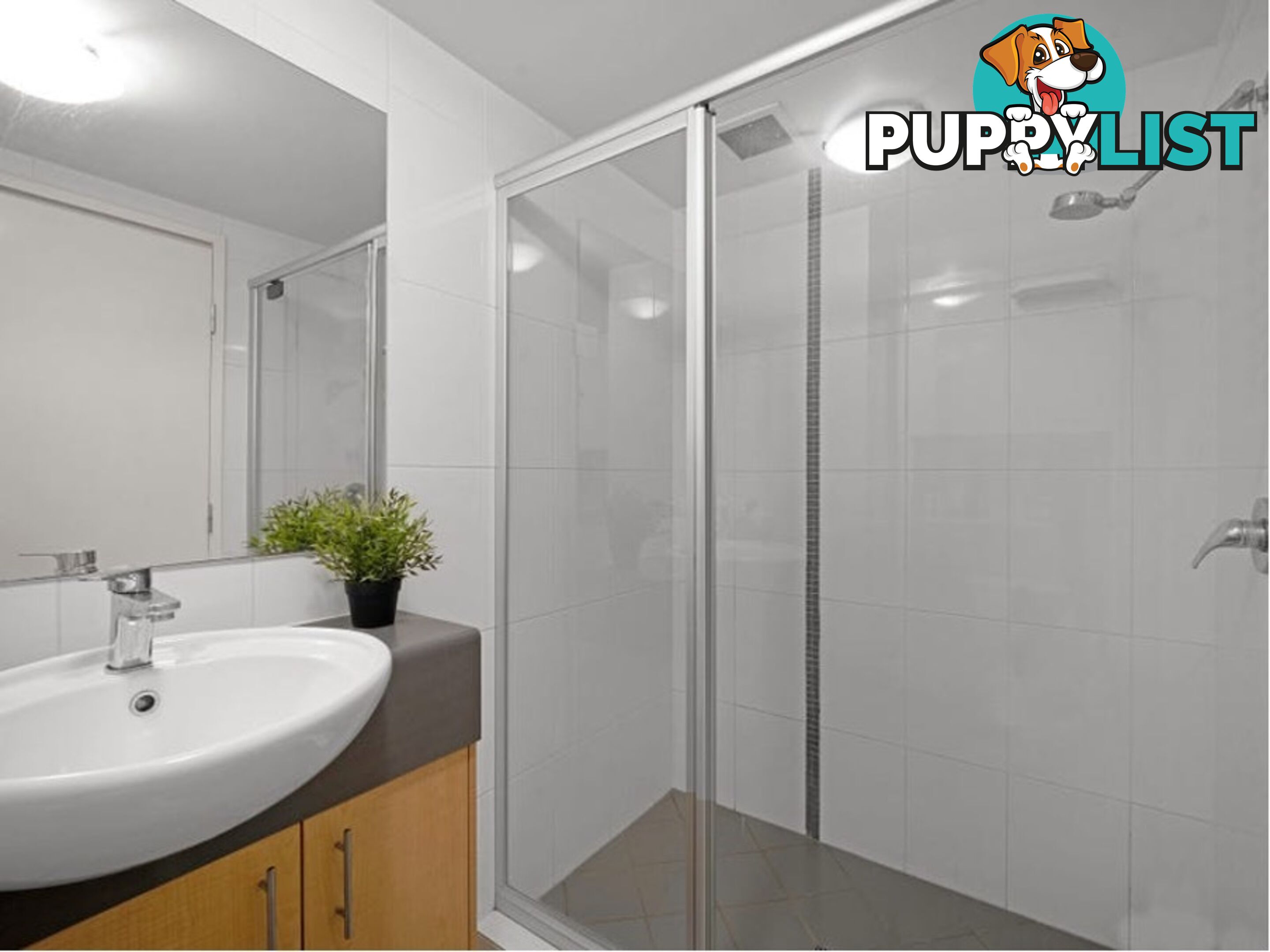ID:21155156 38 Brougham Street Fairfield QLD 4103