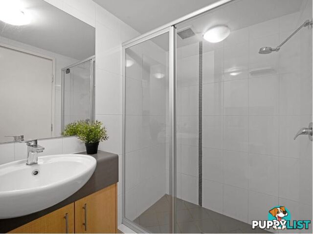 ID:21155156 38 Brougham Street Fairfield QLD 4103