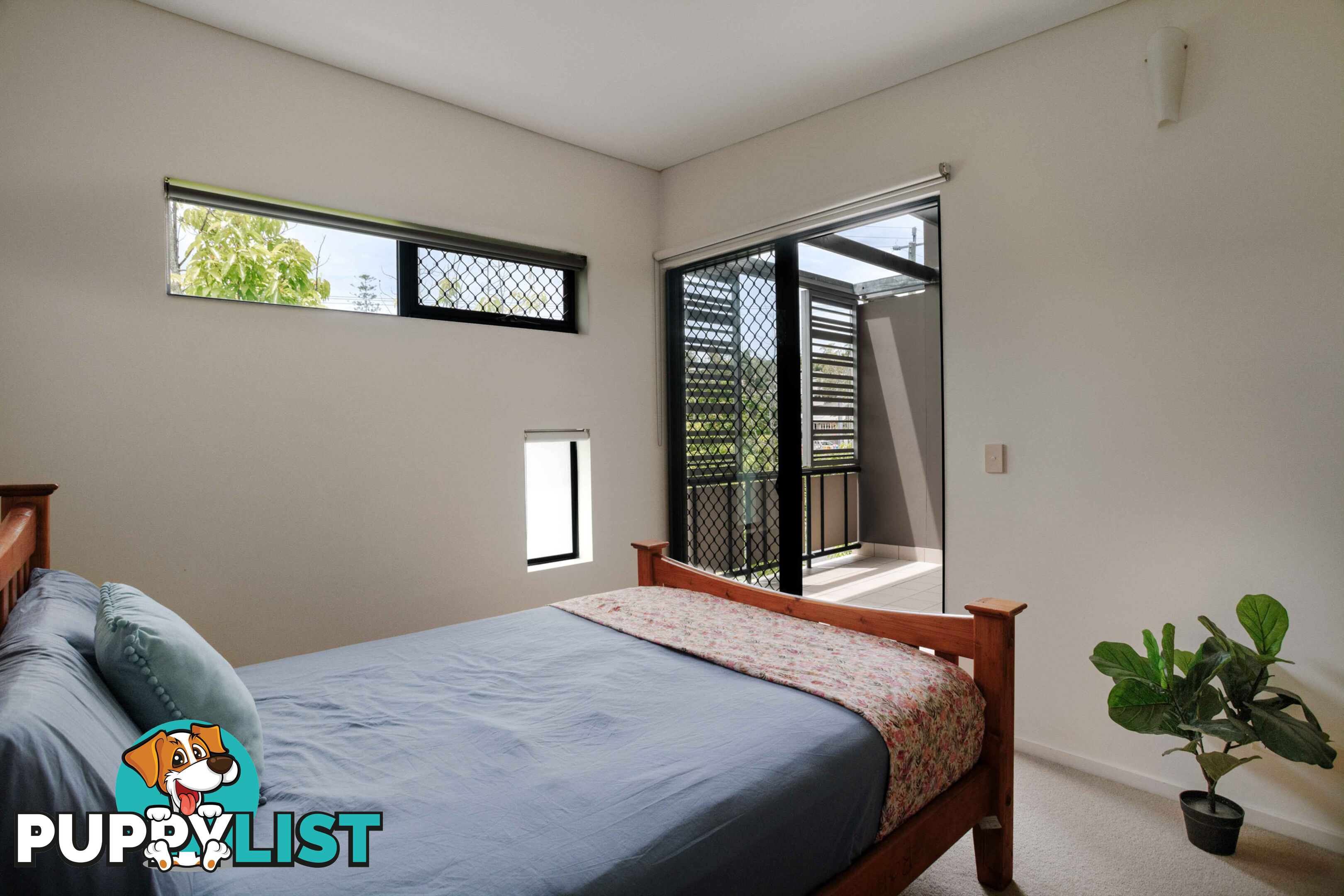 ID:21155156 38 Brougham Street Fairfield QLD 4103