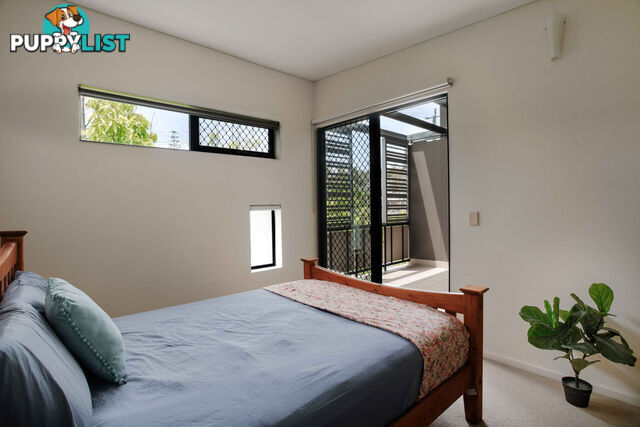 ID:21155156 38 Brougham Street Fairfield QLD 4103