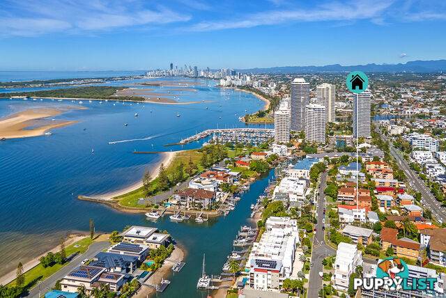 ID:21153564 20 Madang Crescent Runaway Bay QLD 4216