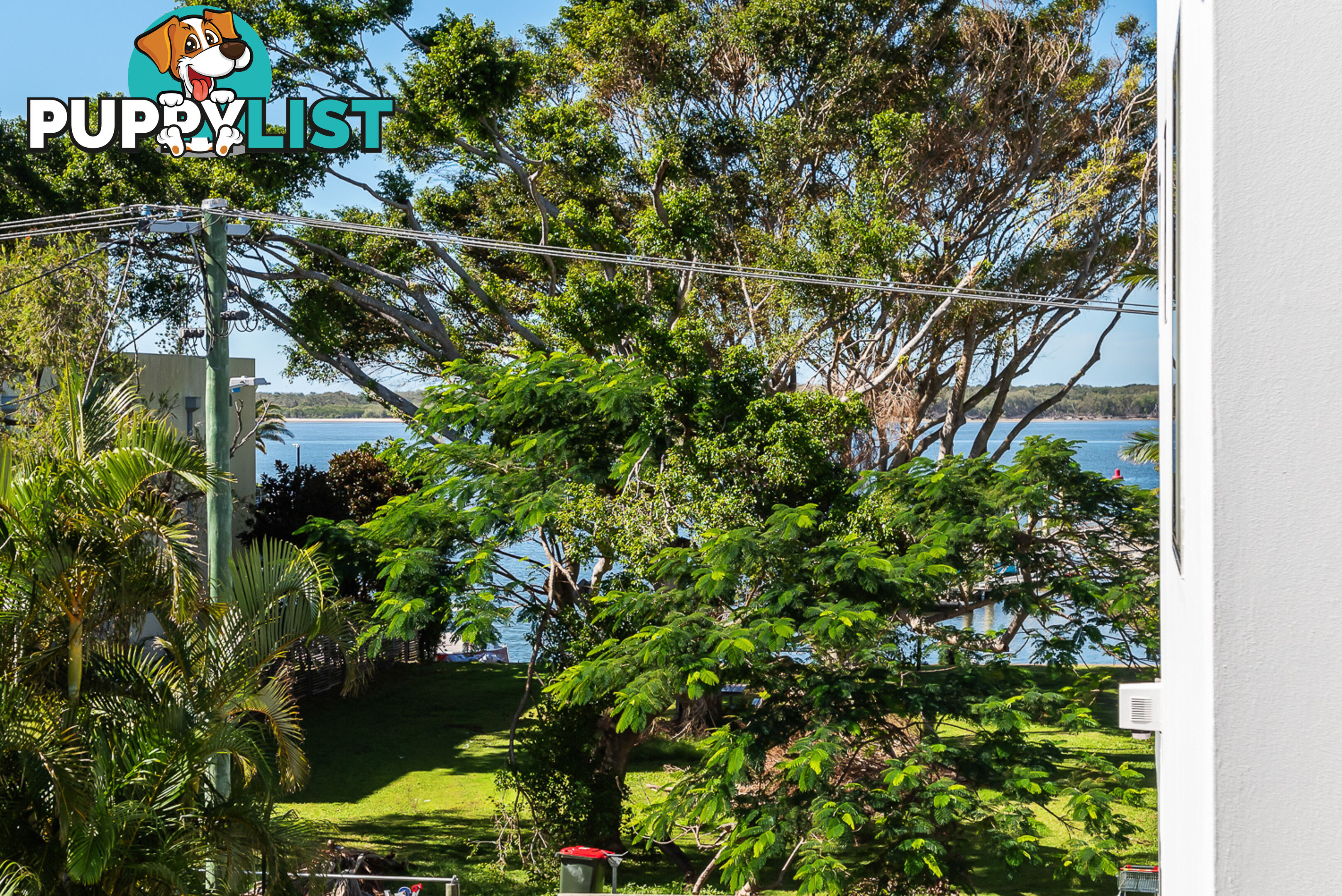 ID:21153564 20 Madang Crescent Runaway Bay QLD 4216