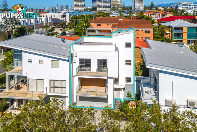ID:21153564 20 Madang Crescent Runaway Bay QLD 4216