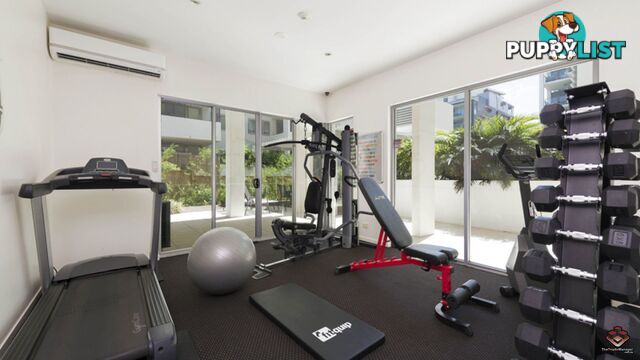 ID:21068280 28 Ferry Road West End QLD 4101