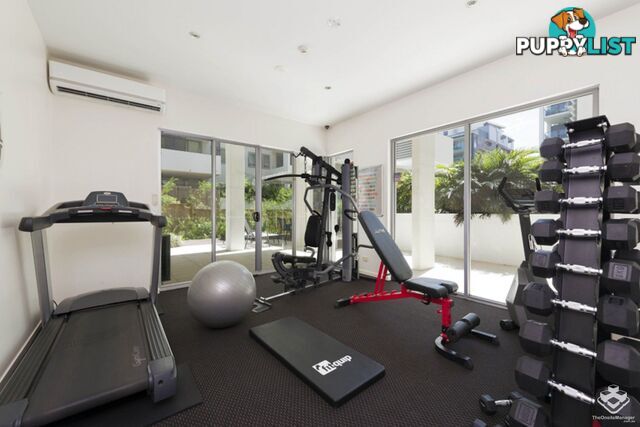 ID:21068280 28 Ferry Road West End QLD 4101