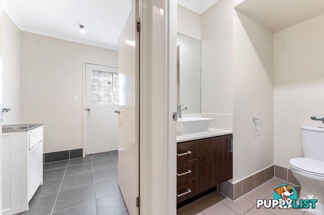 17 Isetta Court Upper Coomera QLD 4209