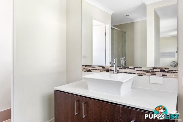 17 Isetta Court Upper Coomera QLD 4209