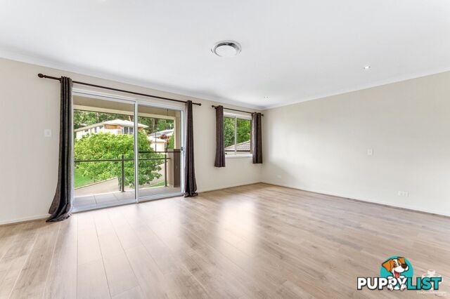 17 Isetta Court Upper Coomera QLD 4209