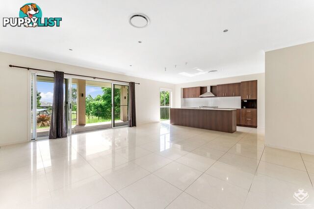 17 Isetta Court Upper Coomera QLD 4209