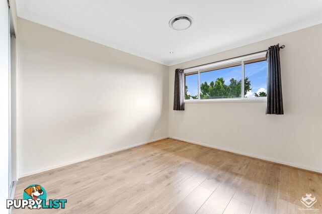 17 Isetta Court Upper Coomera QLD 4209
