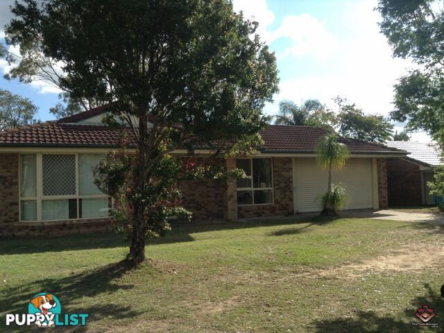 ID:3766253/40 Greenway Circuit Springfield QLD 4300