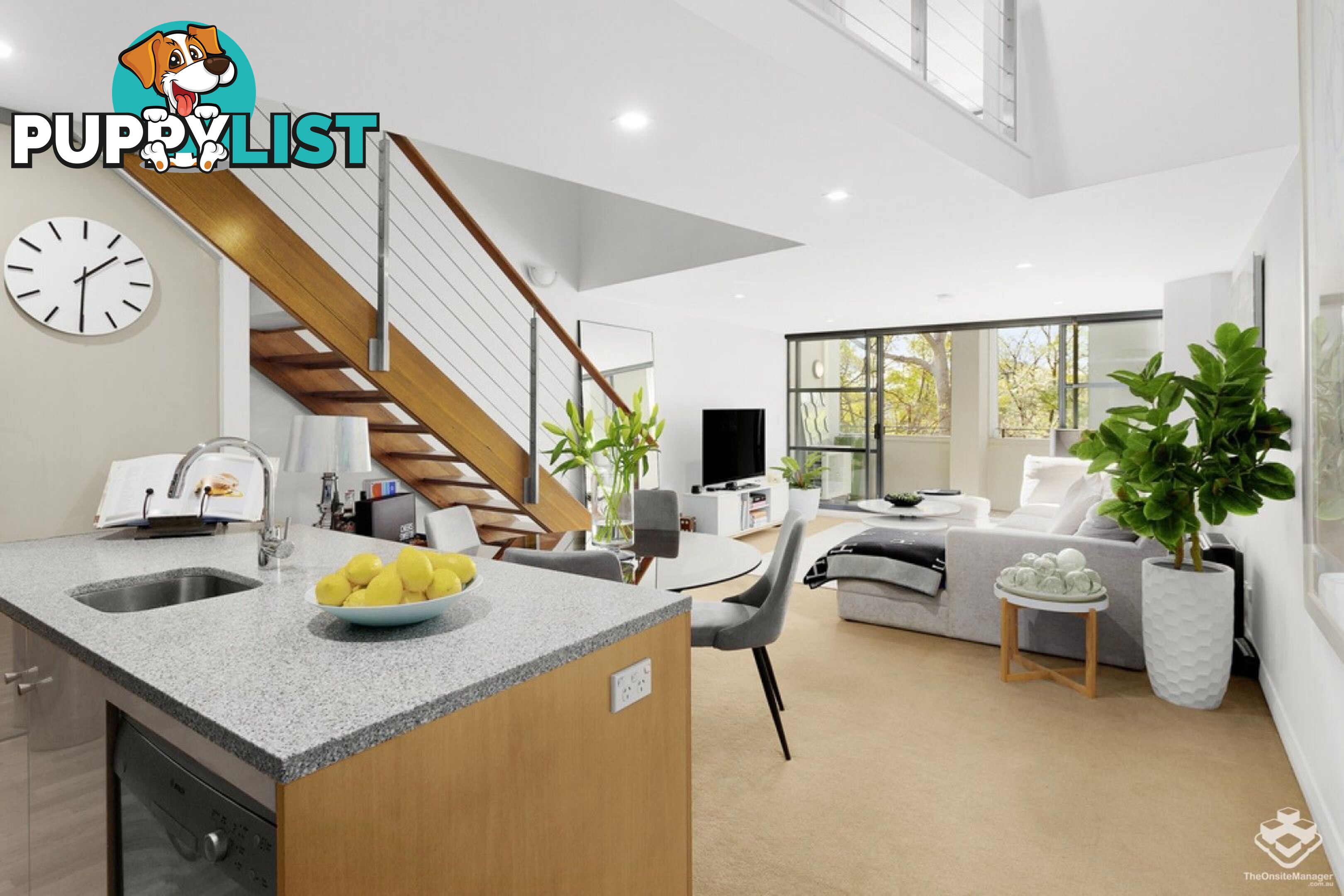 310/357 Glenmore Road Paddington NSW 2021