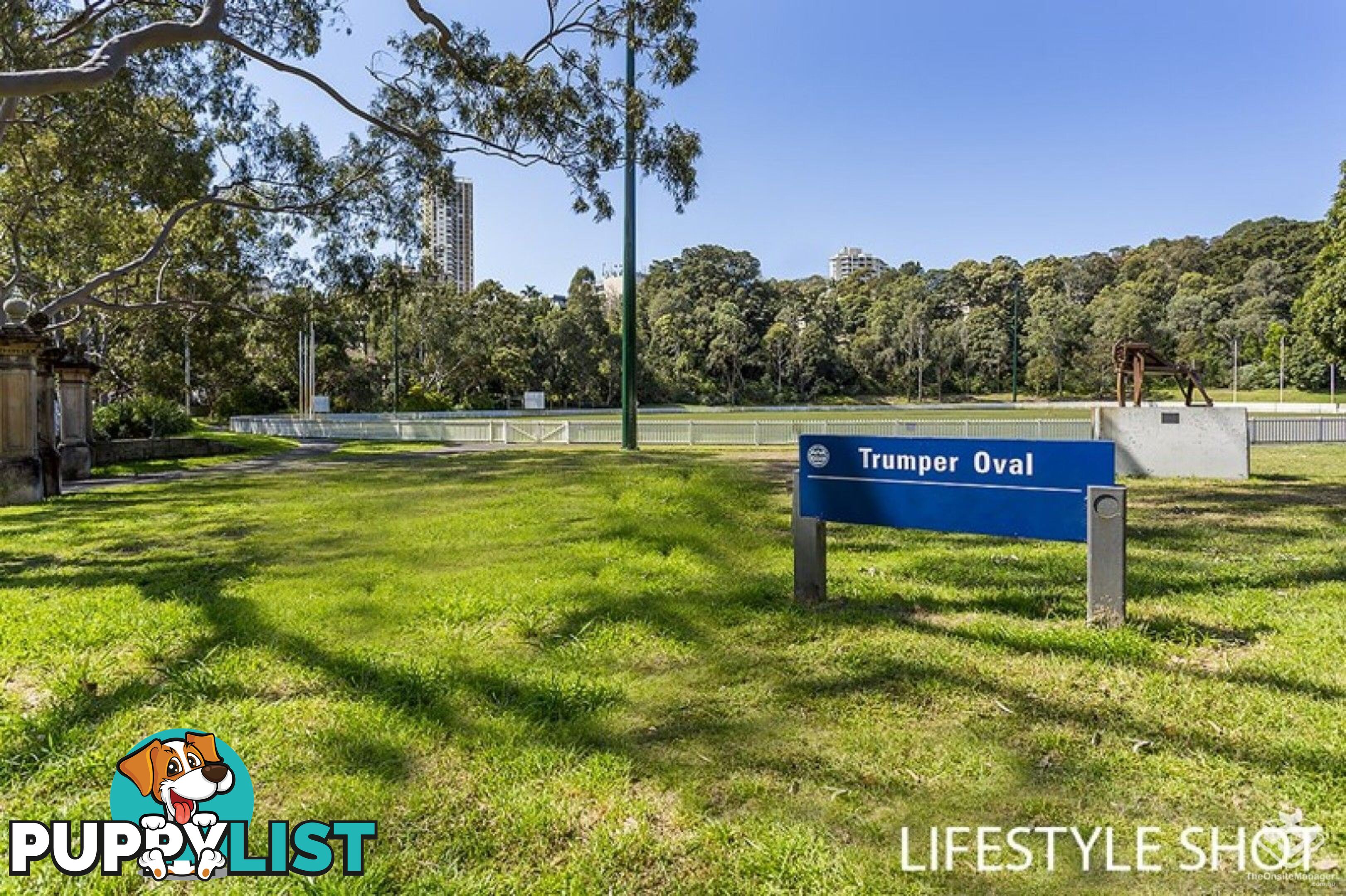 310/357 Glenmore Road Paddington NSW 2021