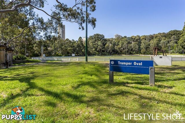 310/357 Glenmore Road Paddington NSW 2021