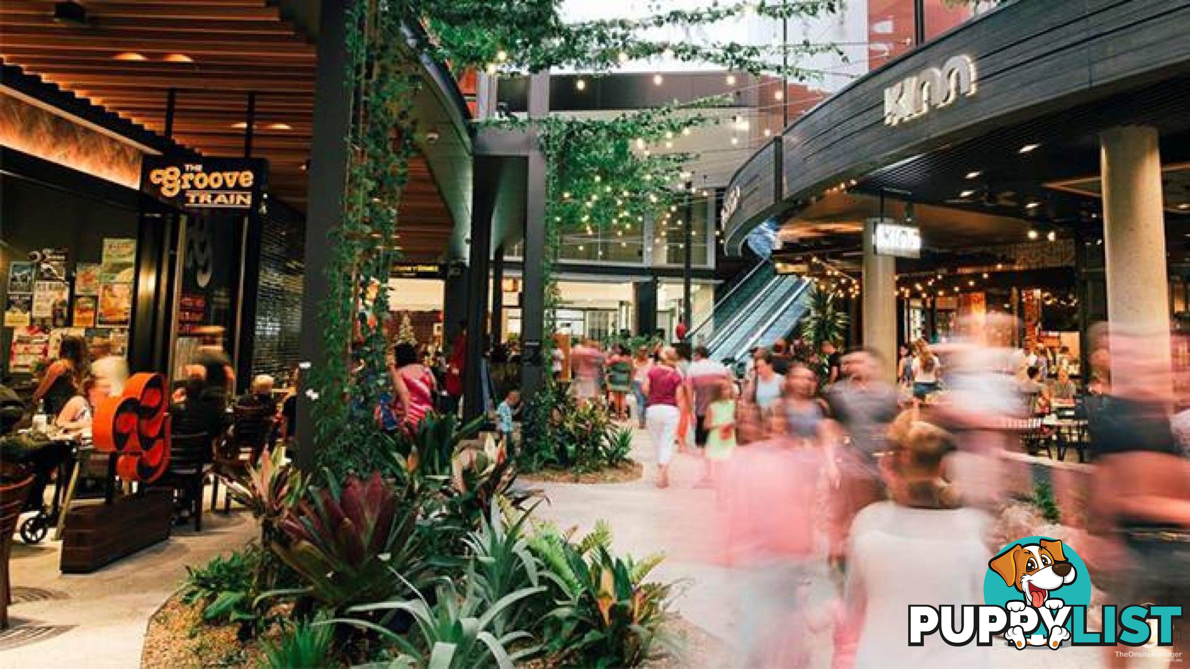 ID:21089388 25 The Corso North Lakes qld 4509