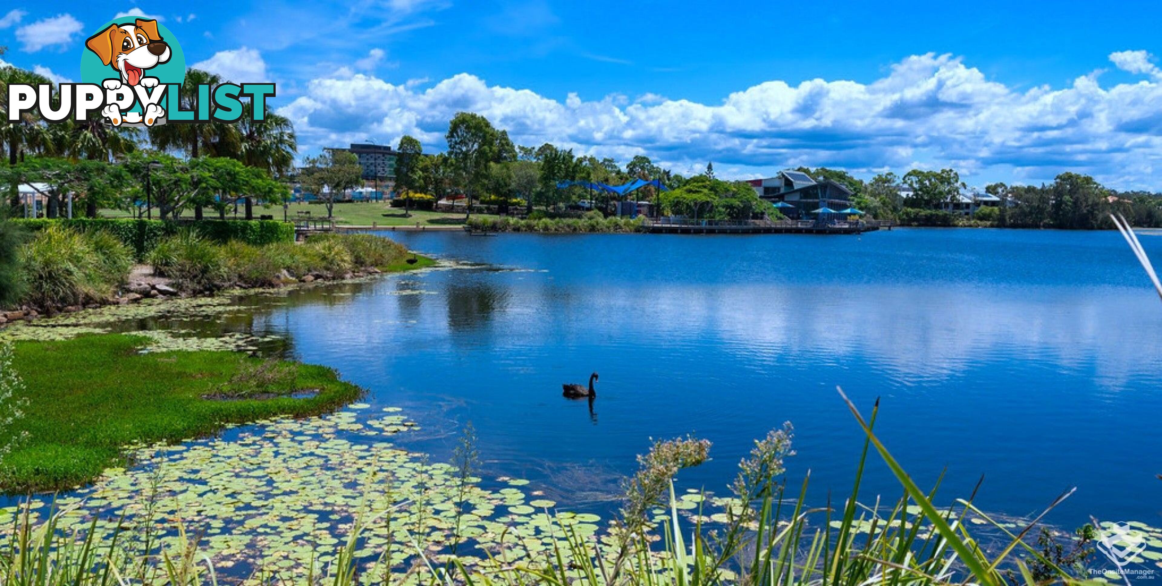 ID:21089388 25 The Corso North Lakes qld 4509