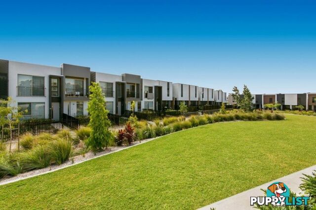 ID:21089388 25 The Corso North Lakes qld 4509