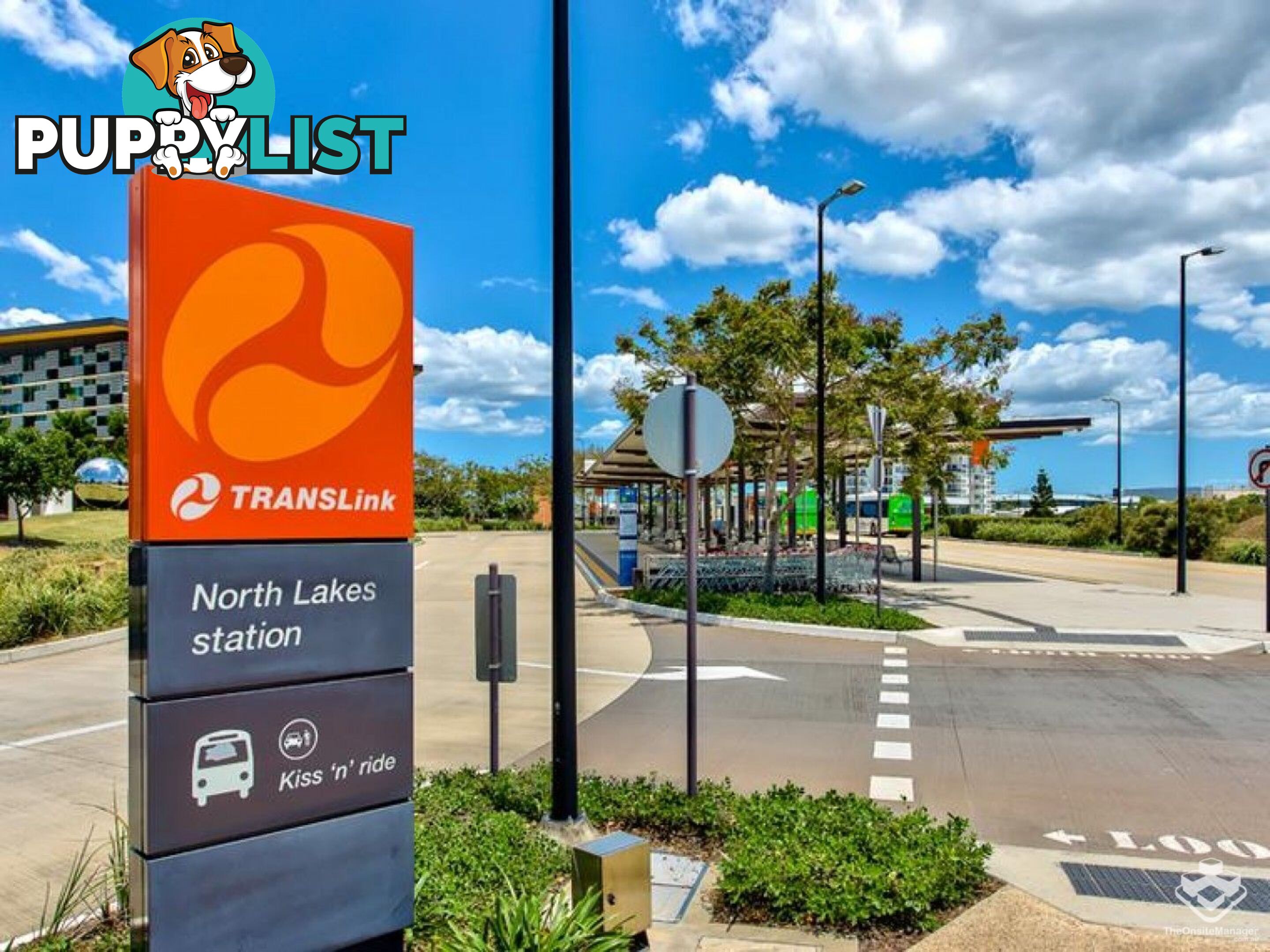 ID:21089388 25 The Corso North Lakes qld 4509