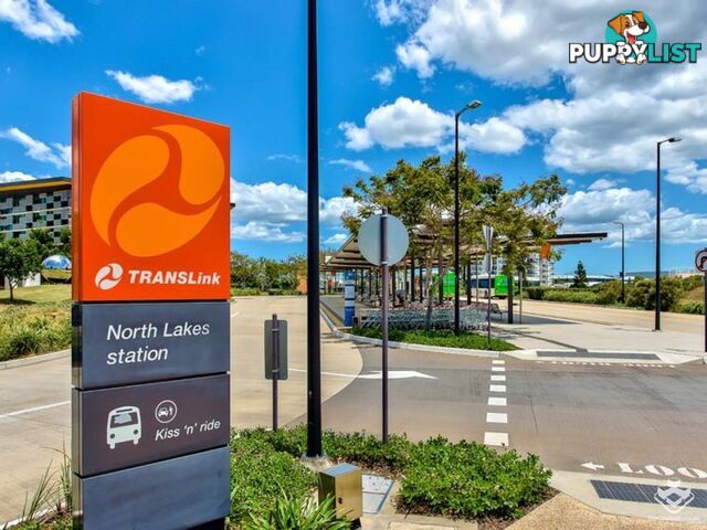 ID:21089388 25 The Corso North Lakes qld 4509