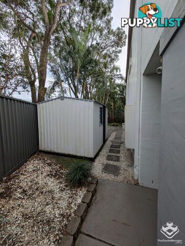ID:21154696 87 Heeb Street Ashmore QLD 4214