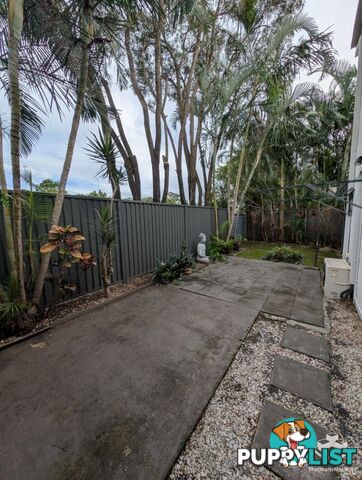 ID:21154696 87 Heeb Street Ashmore QLD 4214