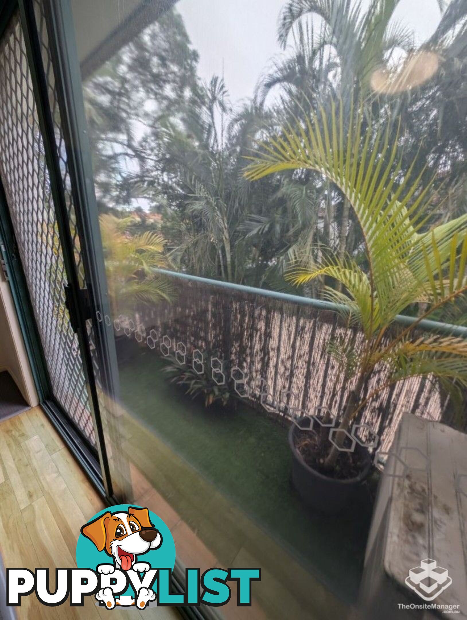 ID:21154696 87 Heeb Street Ashmore QLD 4214