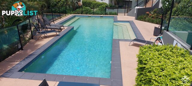 ID:21154977 68-70 Norman Crescent Norman Park QLD 4170