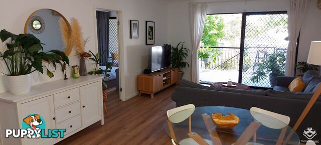 ID:21154977 68-70 Norman Crescent Norman Park QLD 4170