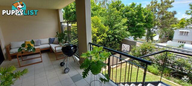 ID:21154977 68-70 Norman Crescent Norman Park QLD 4170