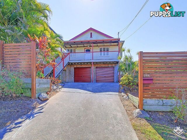 246 Winstanley Street Carina Heights QLD 4152