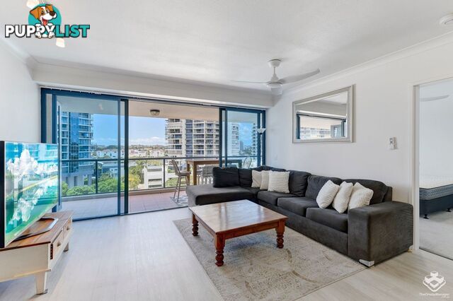 ID:21145564/45 Deakin Street Kangaroo Point QLD 4169