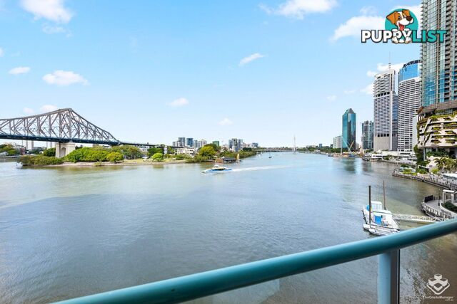 3C/35 Howard Street Brisbane City QLD 4000