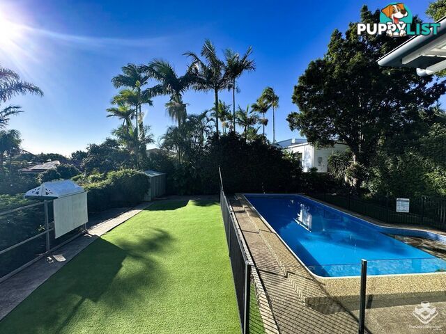 29 Sugarloaf Street Wavell Heights QLD 4012