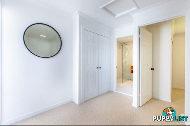 3/303 Wynnum Road Norman Park QLD 4170