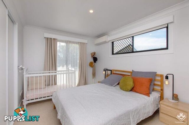 3/303 Wynnum Road Norman Park QLD 4170